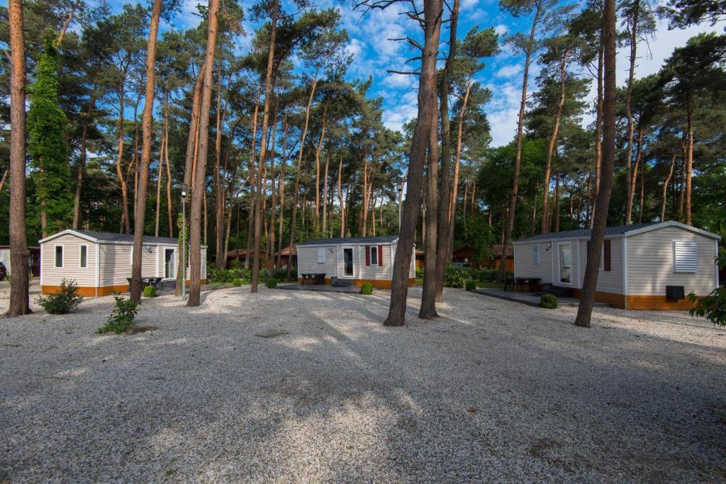 Bospark De Brenkberg Schinveld Room photo